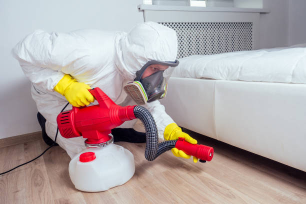 Best Residential Pest Control  in Kearny, AZ